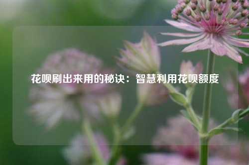 花呗刷出来用的秘诀：智慧利用花呗额度