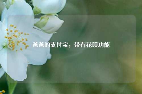 爸爸的支付宝，带有花呗功能