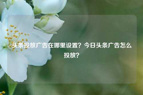 头条投放广告在哪里设置？今日头条广告怎么投放？