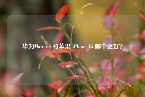 华为Mate 60 和苹果 iPhone 15 哪个更好？