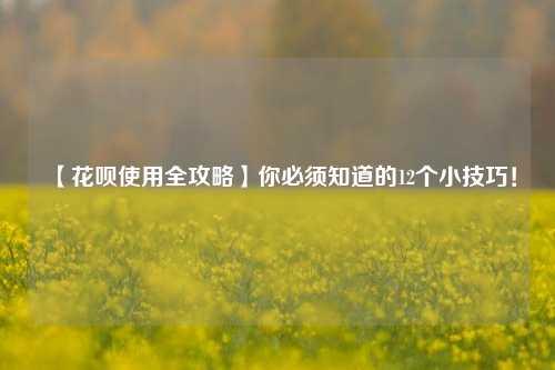 【花呗使用全攻略】你必须知道的12个小技巧！