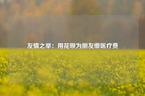 友情之举：用花呗为朋友缴医疗费