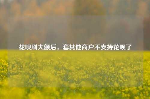 花呗刷大额后，套其他商户不支持花呗了