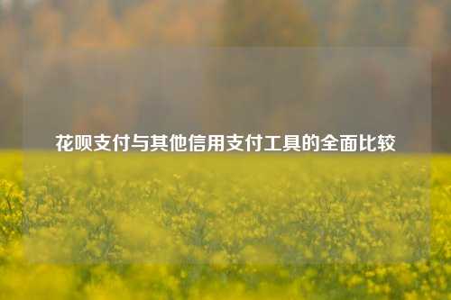 花呗支付与其他信用支付工具的全面比较