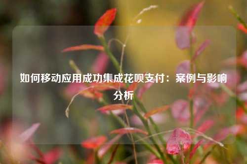 如何移动应用成功集成花呗支付：案例与影响分析