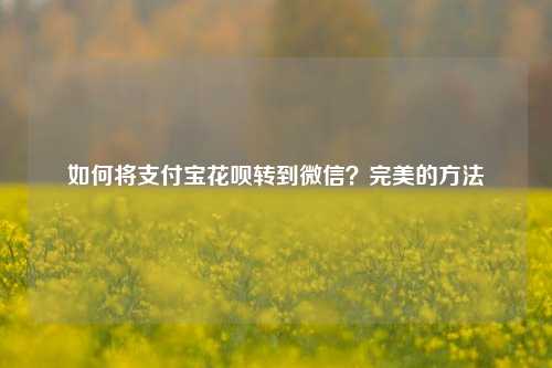 如何将支付宝花呗转到微信？完美的方法