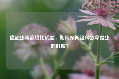 隐翅虫毒液堪比硫酸，如何预防这种致命昆虫的叮咬？