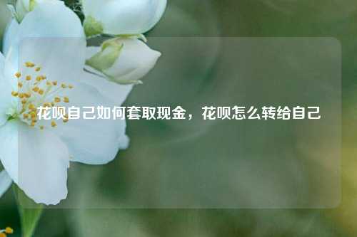 花呗自己如何套取现金，花呗怎么转给自己