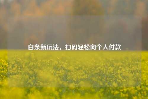 白条新玩法，扫码轻松向个人付款