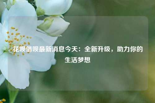 花呗借呗最新消息今天：全新升级，助力你的生活梦想