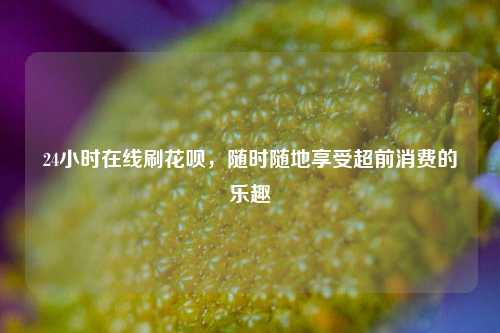 24小时在线刷花呗，随时随地享受超前消费的乐趣