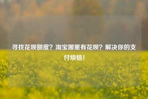 寻找花呗额度？淘宝哪里有花呗？解决你的支付烦恼！