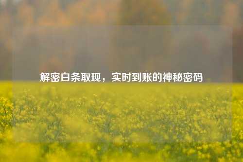 解密白条取现，实时到账的神秘密码