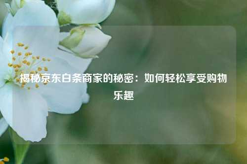 揭秘京东白条商家的秘密：如何轻松享受购物乐趣