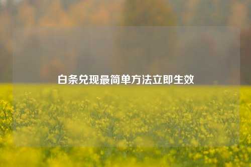 白条兑现最简单方法立即生效