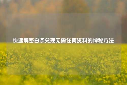 快速解密白条兑现无需任何资料的神秘方法