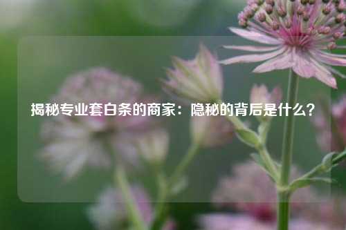 揭秘专业套白条的商家：隐秘的背后是什么？