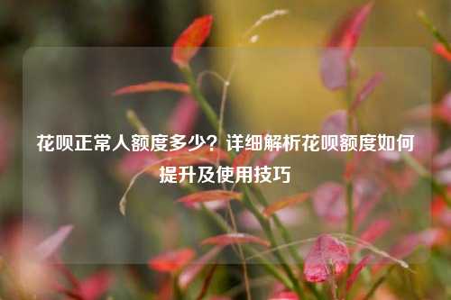 花呗正常人额度多少？详细解析花呗额度如何提升及使用技巧