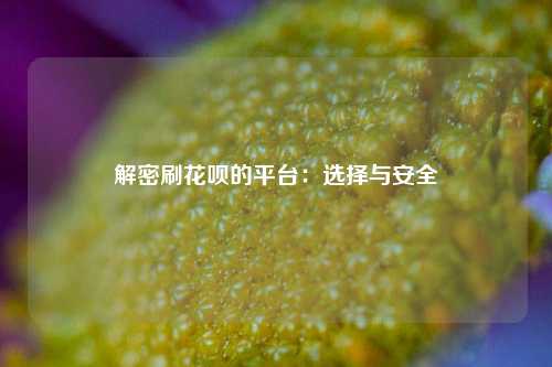 解密刷花呗的平台：选择与安全