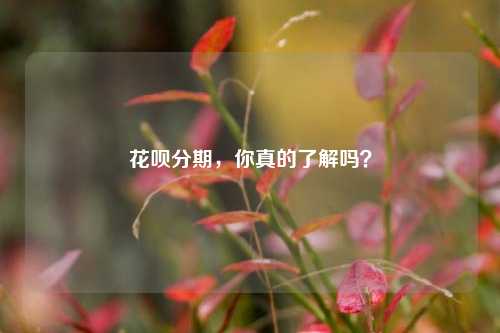 花呗分期，你真的了解吗？