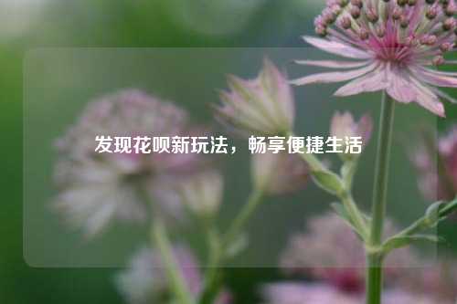 发现花呗新玩法，畅享便捷生活