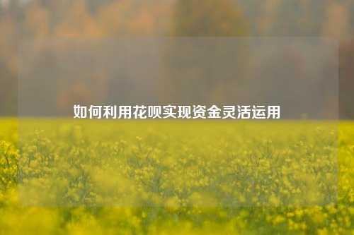 如何利用花呗实现资金灵活运用