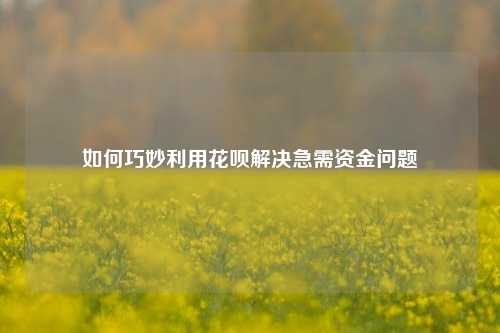 如何巧妙利用花呗解决急需资金问题