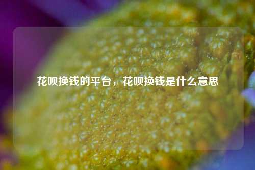 花呗换钱的平台，花呗换钱是什么意思