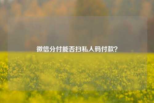 微信分付能否扫私人码付款？