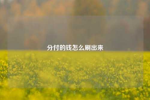 分付的钱怎么刷出来