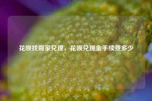 花呗找商家兑现，花呗兑现金手续费多少