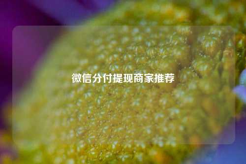 微信分付提现商家推荐