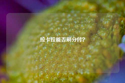 拉卡拉能否刷分付？