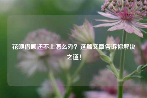 花呗借呗还不上怎么办？这篇文章告诉你解决之道！