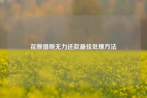 花呗借呗无力还款最佳处理方法