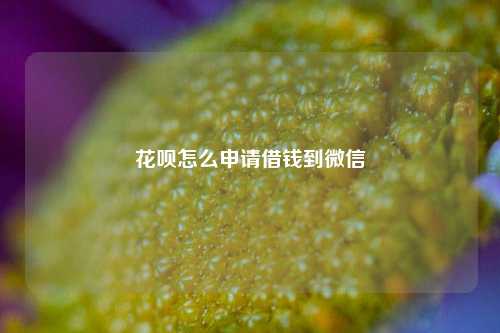 花呗怎么申请借钱到微信