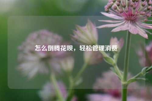 怎么倒腾花呗，轻松管理消费